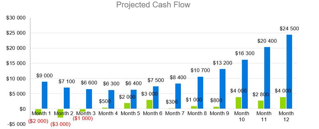 Online Store Business Plans-Projected Cash Flow