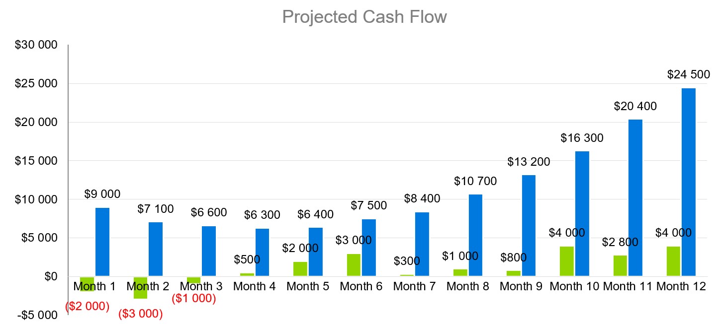 Projected Cash Flow - New Product Launch Business Plan Sample