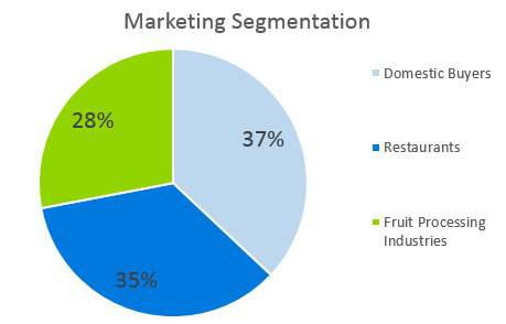 Agriculture Fruit Farm - Marketing Segmentation