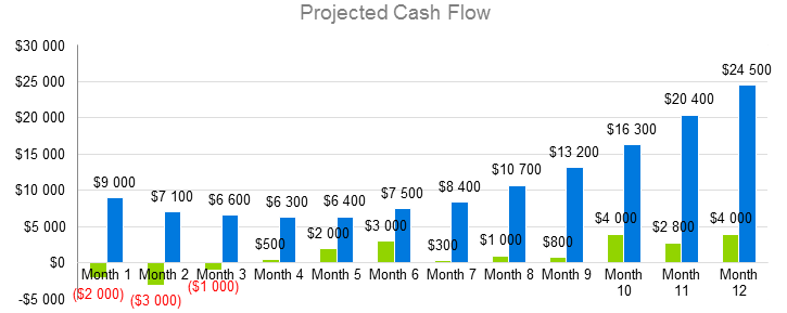 Brewery Business Plan Sample - Projected Cash Flow