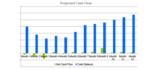 Cyber cafe business plan - Projected Cash Flow