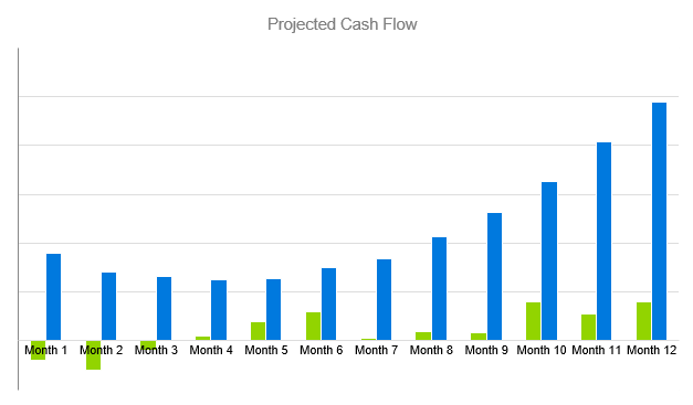 Magazine Publishing Business Plan - Projected Cash Flow