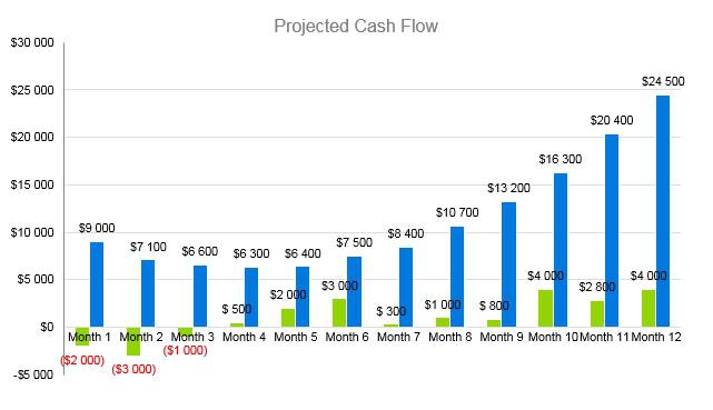 Karaoke Business Plan - Projected Cash Flow