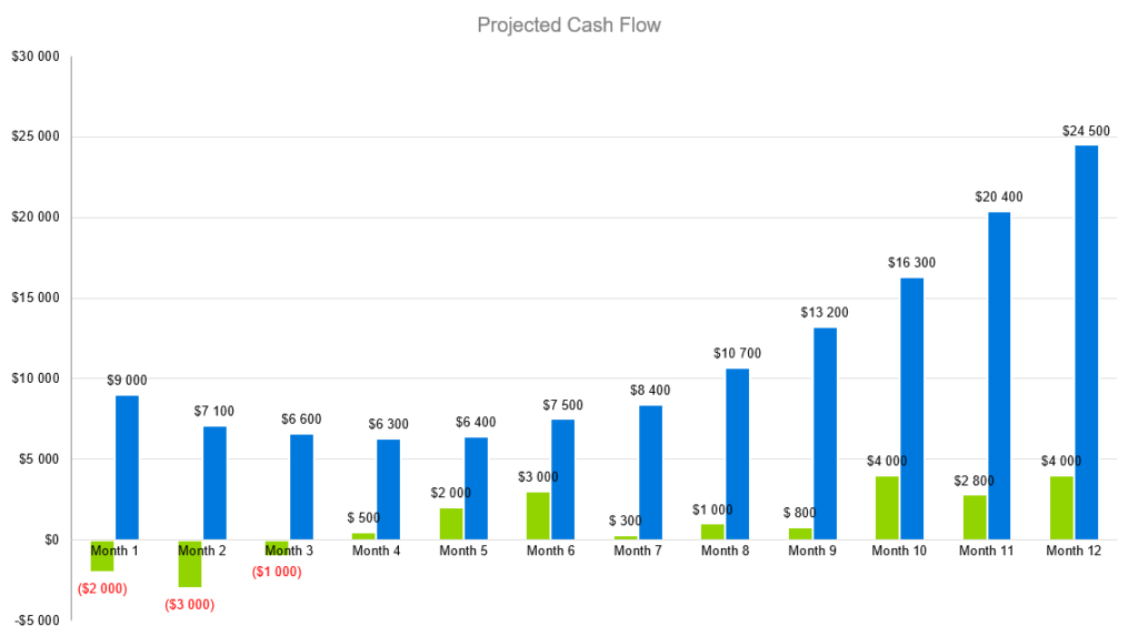 Projected Cash Flow - Painting Contractors Business Plan Sample
