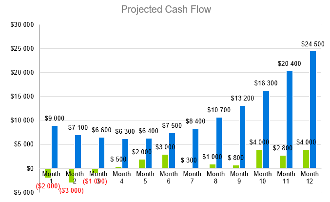Projected Cash Flow - cosmetics business plan