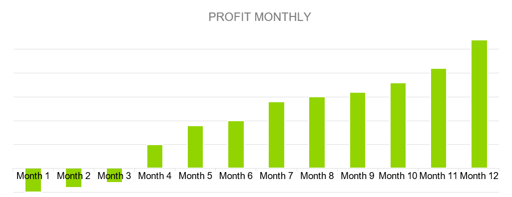 Profit Monthly - data entry business plan
