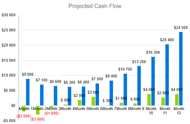 Projected Cash Flow - gourmet food store business plan