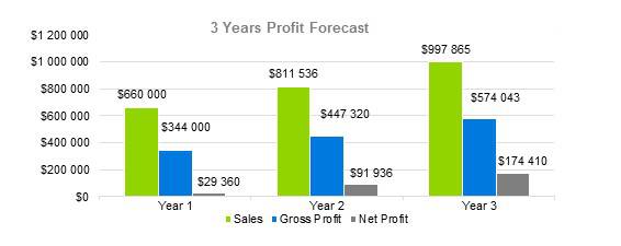 Artist Business Plan - 3 Years Profit Forecast