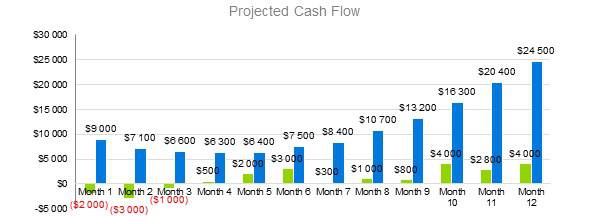 State Farm Business Plan - Project Cash Flow
