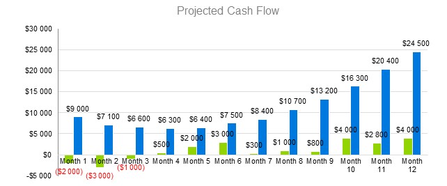 Diaper Manufacturer Business Plan - Projected Cash Flow
