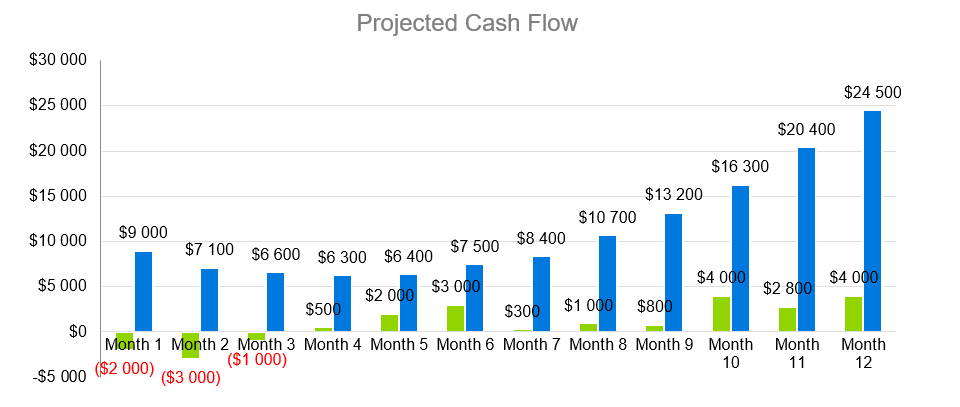 Hydroponics Farm Business Plan Sample - Projected Cash Flow