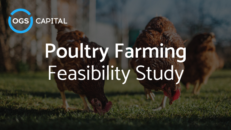 Poultry Farm Feasibility Study