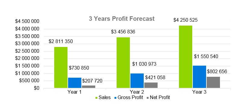 3 Years Proft Forecast - IT Consulting business plan