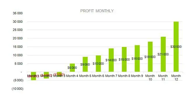 PROFIT MONTHLY - Baby Clothes Business Plan Sample