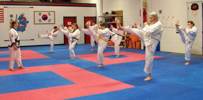 Karate School Business Plan Sample