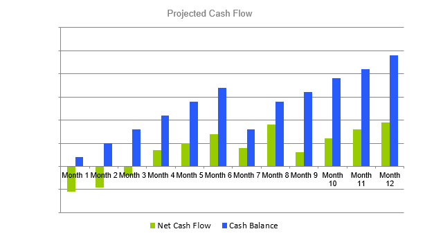 Paintball Business Plan - Projected Cash Flow