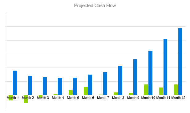 Record Label Business Plan - Projected Cash Flow