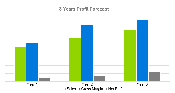 Youtube Channel Business Plan Sample - 3 Years Profit Forecast