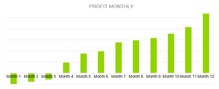 Youtube Channel Business Plan Sample - Profit Monthly