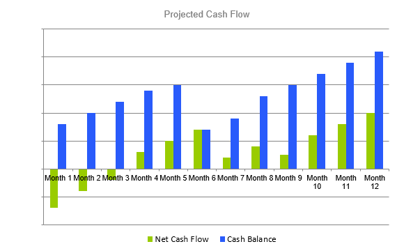 Subscription Box Business Plan - Projected Cash Flow