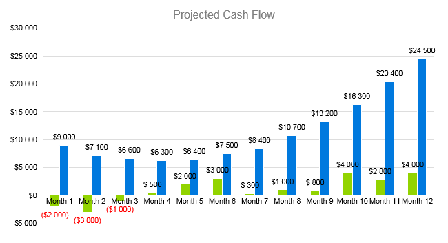 Tanning Salon Business Plan - Projected Cash Flow