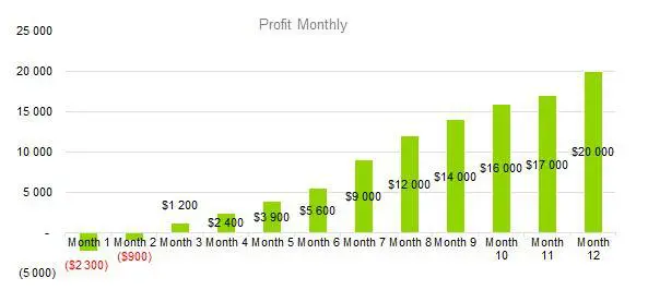 Artist Business Plan - Profit Monthly