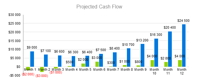 Artist Business Plan - Project Cash Flow