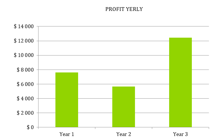 Boutique Business Plan - Profit Yearly
