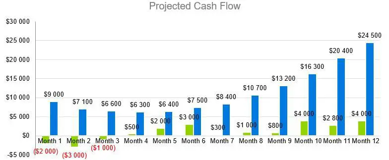 Computer Software Business Plan Sample - Projected Cash Flow
