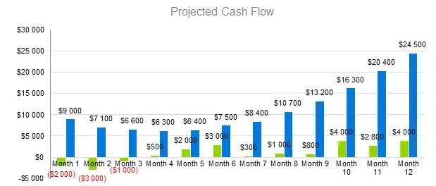 Eggs Farming Business Plan - Projected Cash Flow