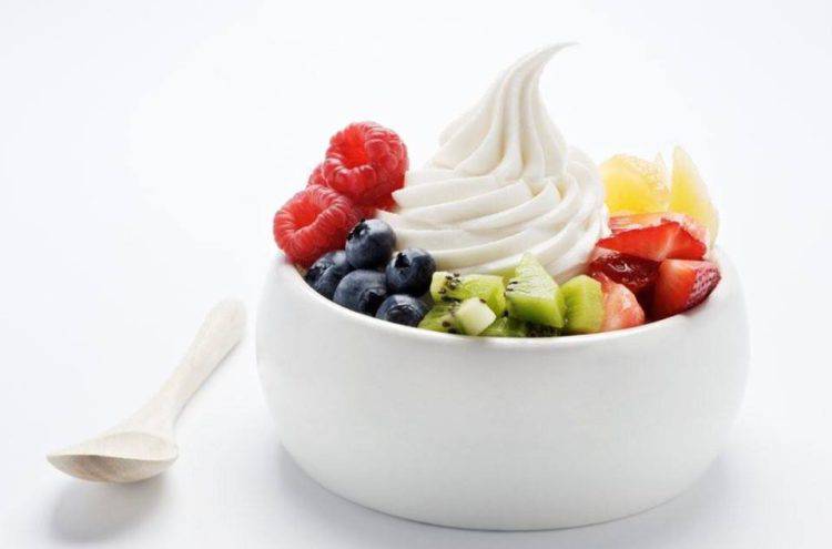 Frozen Yogurt Business Plan Template