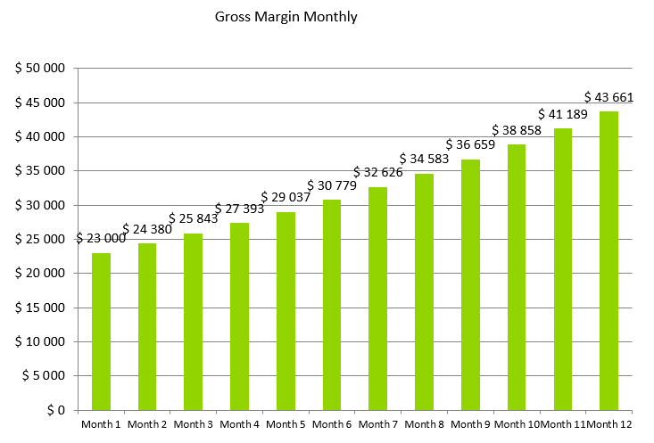 Home Helth Care Business Plan - Gross Margin Monthly