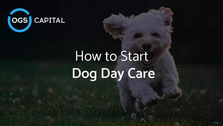 How to Start a Dog Day Care
