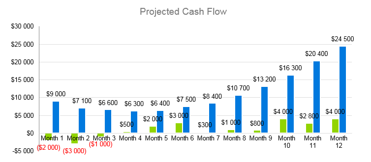 IT Consulting business plan - Projected Cash Flow