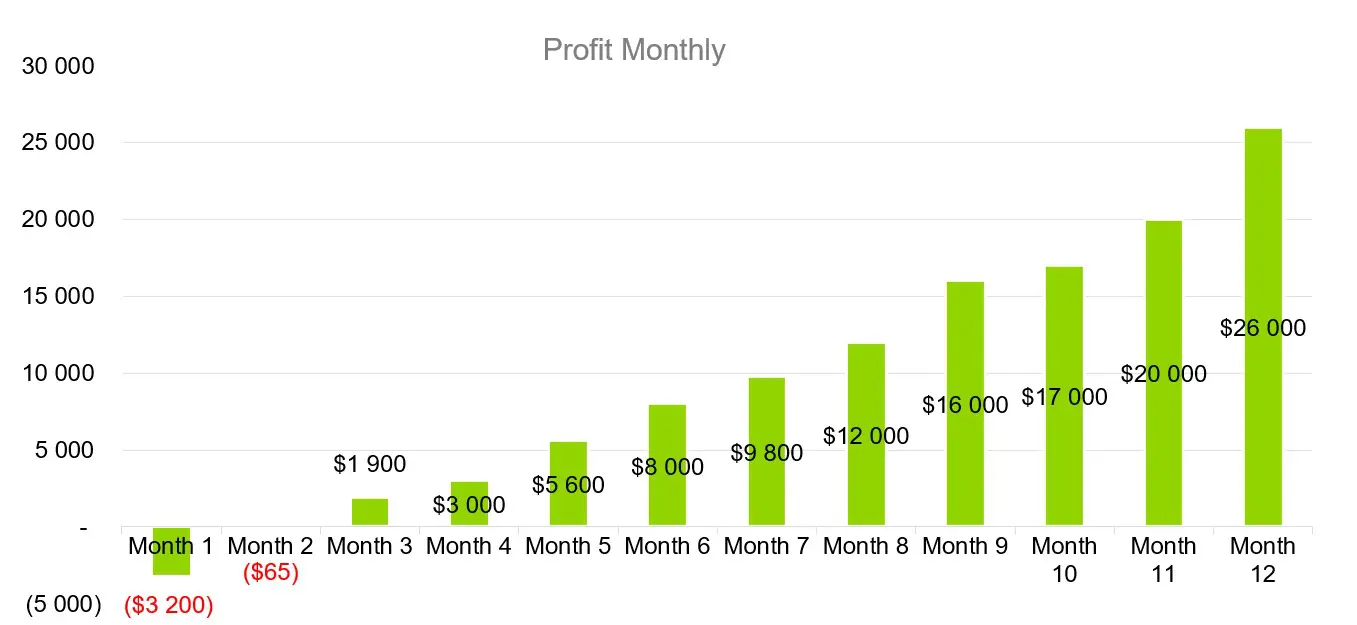 Profit Monthly - New Product Launch Business Plan Sample